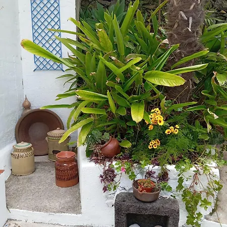 Ribeira Da House Semesterbostad