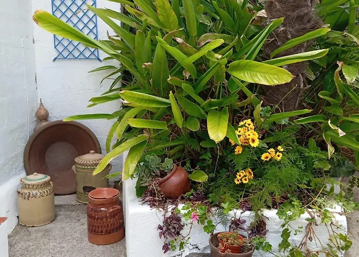 Ribeira Da House Nyaraló