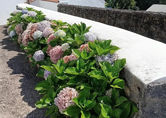 Ribeira Da House Nyaraló Vila Franca do Campo