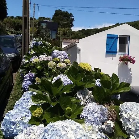 Ribeira Da Praia House Holiday home
