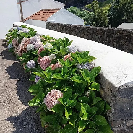 Ribeira Da Praia House Holiday home Vila Franca do Campo