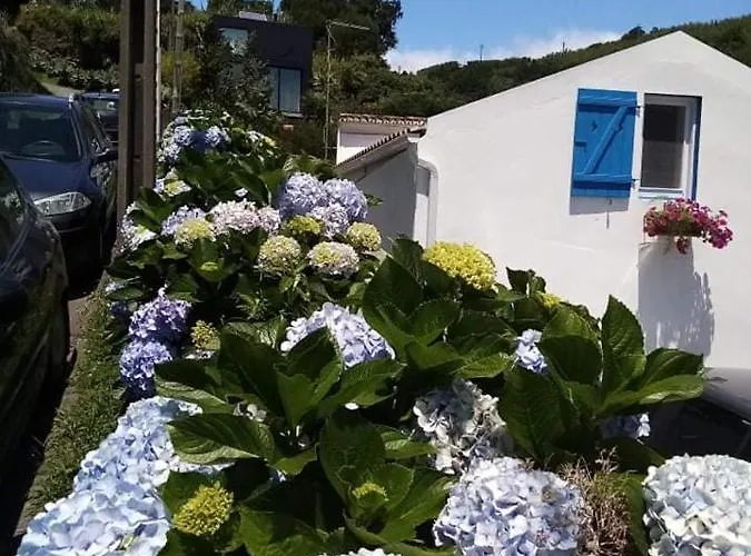 Ribeira Da House Hébergement de vacances